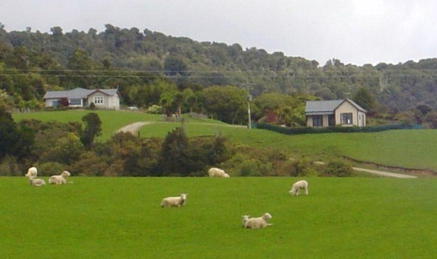 Hilltop Accommodation Catlins Papatowai Buitenkant foto