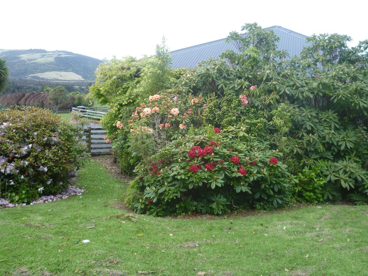 Hilltop Accommodation Catlins Papatowai Buitenkant foto